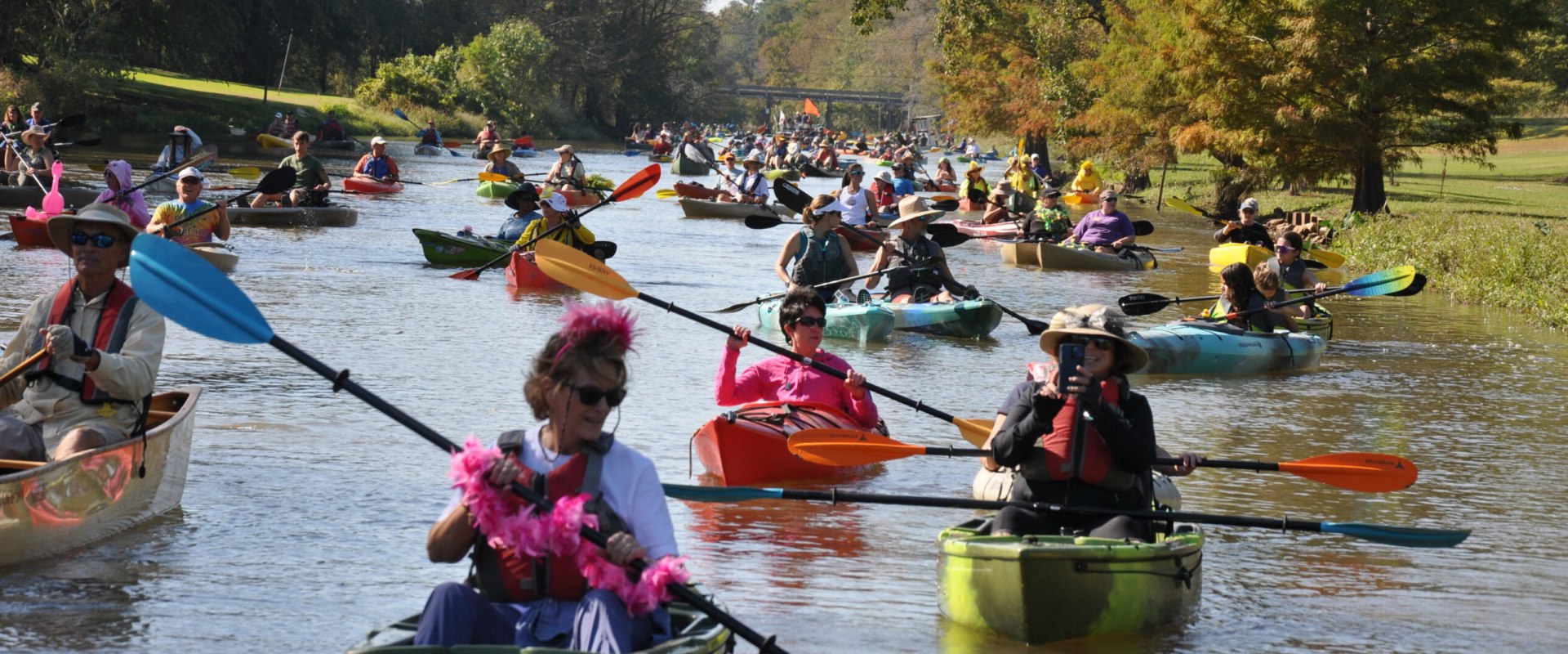 Environmental Conservation in Monroe, LA: Protecting the Bayou State